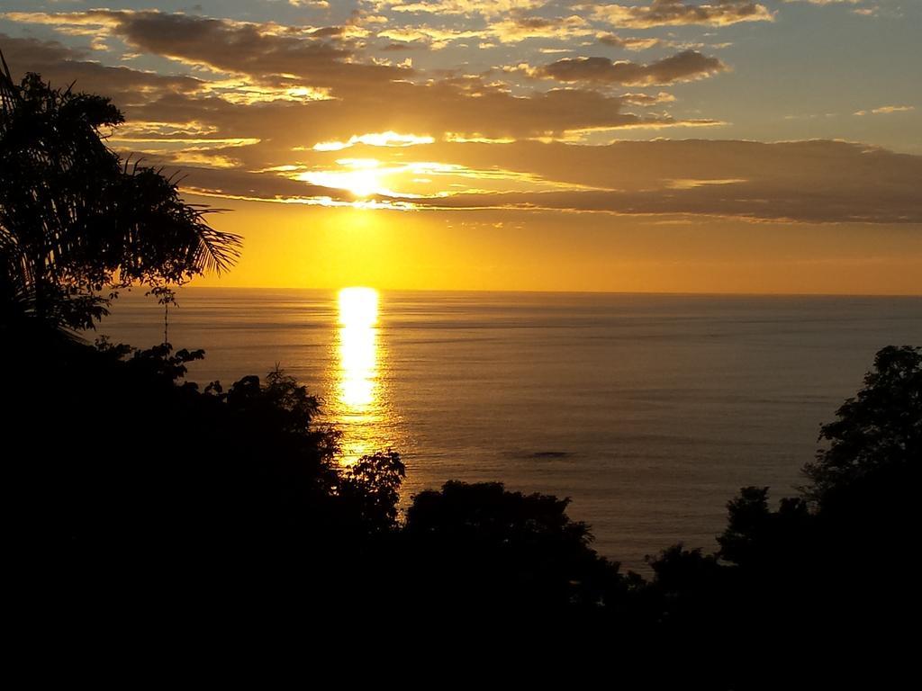 Coyaba Tropical Elegant Adult Guesthouse Nationalpark Nationalpark Manuel Antonio Exterior foto